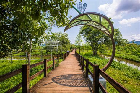 溼地公園如何收費嗎 湿地公園的生態保護與遊客體驗之間的平衡